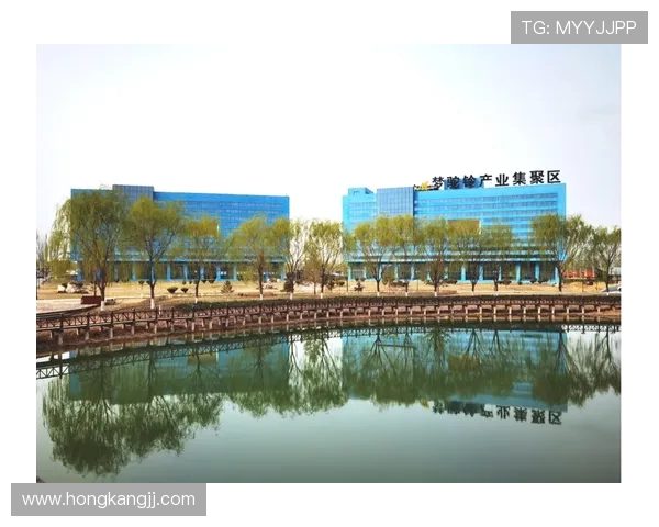 北京网球队选拔赛表现分析：比赛经验如何影响竞技状态与团队协作