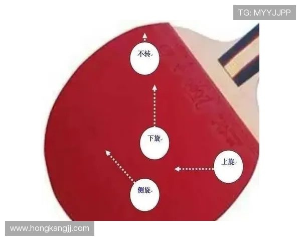 赵芳独家揭秘乒乓球技巧与心得分享助你提升球技的秘诀